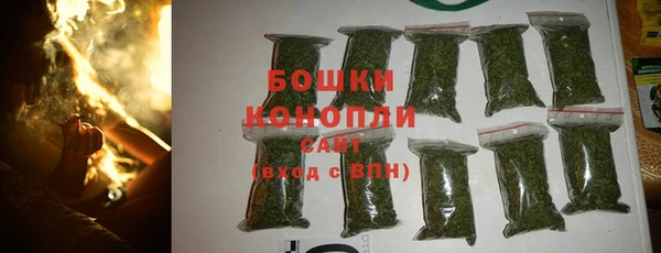 ПСИЛОЦИБИНОВЫЕ ГРИБЫ Верхнеуральск