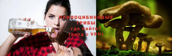 крисы Верея