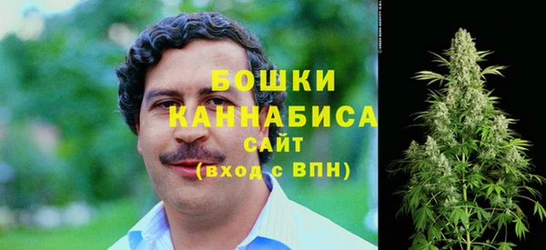 ПСИЛОЦИБИНОВЫЕ ГРИБЫ Верхнеуральск