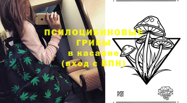 ПСИЛОЦИБИНОВЫЕ ГРИБЫ Верхнеуральск